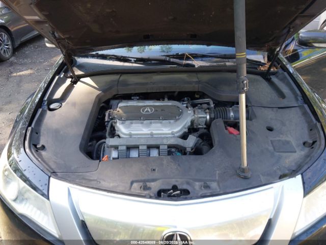 2009 ACURA TL 19UUA86559A020589 Photo 9