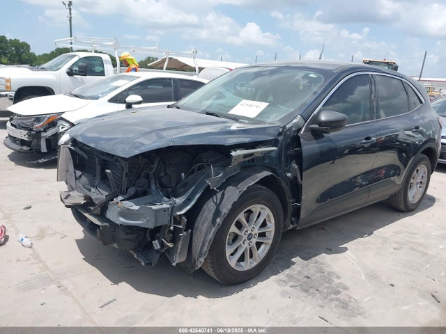 1FMCU0G6XNUB81440 Ford dragon di tc