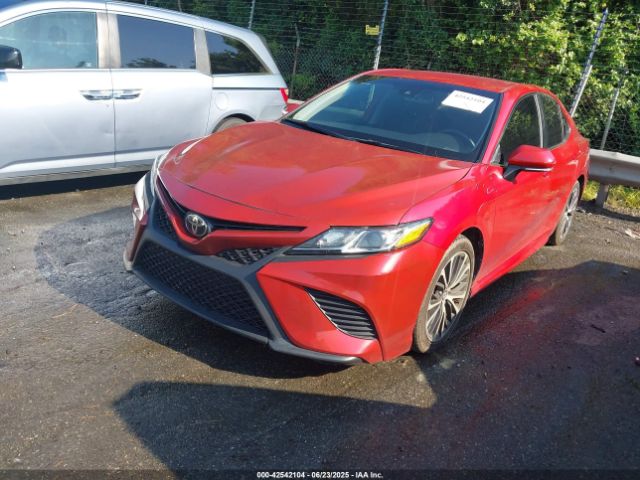 2019 TOYOTA CAMRY 4T1B11HKXKU179558 Photo 1