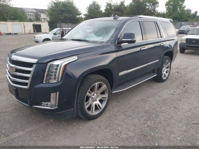 2019 CADILLAC ESCALADE 1GYS4BKJ5KR232620 Photo 1