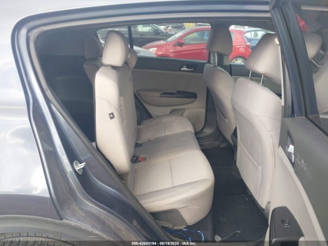 2017 KIA SPORTAGE KNDPM3AC4H7132582 Photo 7