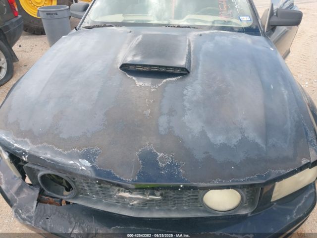 2007 FORD MUSTANG 1ZVHT85H575287613 Photo 9