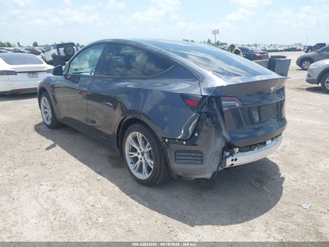 2024 TESLA MODEL Y 7SAYGAEEXRF066758 Photo 2