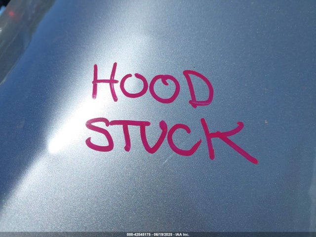 2025 TESLA MODEL 3 5YJ3E1EB0SF016895 Photo 9