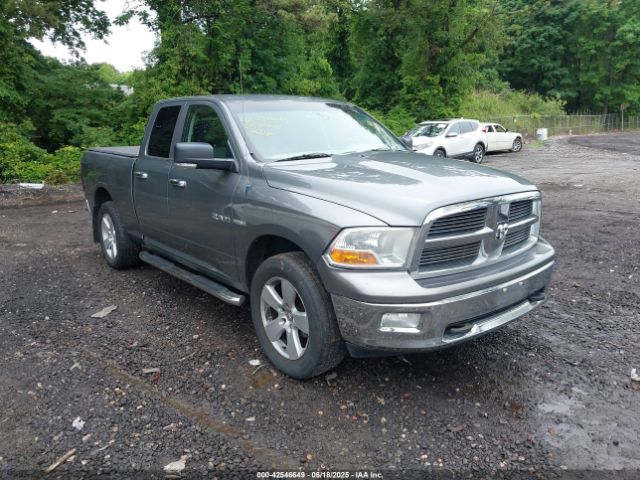 2009 DODGE RAM 1500 1D3HV18T69S800254