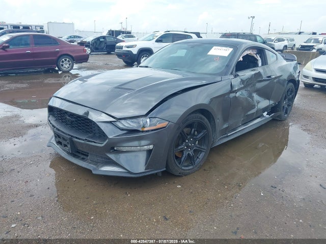 Ford 4v 2019 1FA6P8TH3K5116942 Image 2