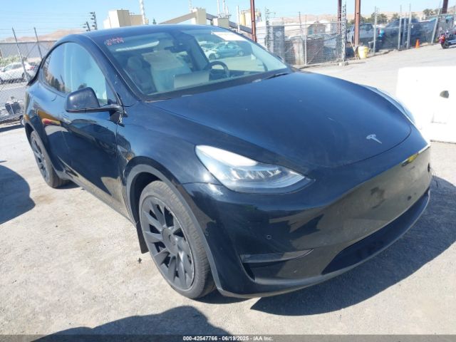 2021 TESLA MODEL Y 5YJYGDEE4MF230965