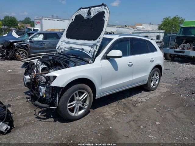 2014 AUDI Q5 WA1LFAFP2EA116642 Photo 1