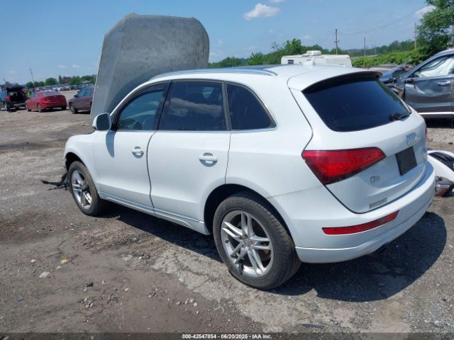 2014 AUDI Q5 WA1LFAFP2EA116642 Photo 2
