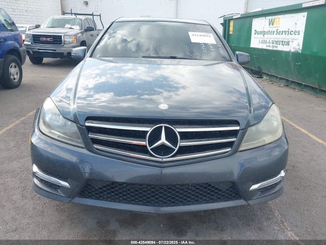 WDDGF8AB8EA956619 Mercedes-Benz 2014
