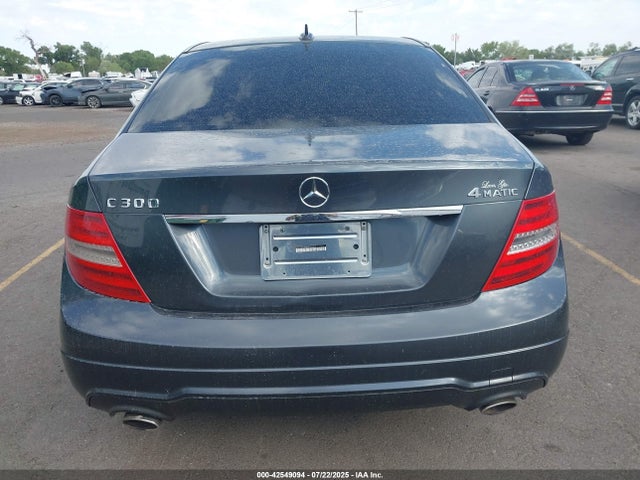 WDDGF8AB8EA956619 Mercedes-Benz 2014