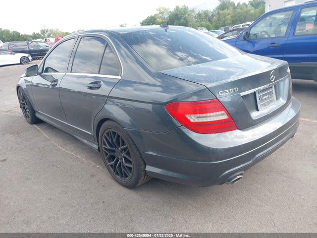WDDGF8AB8EA956619 Mercedes-Benz 2014