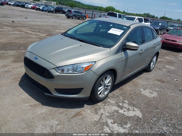 Ford 2016 2016 1FADP3F24GL365819 Image 2