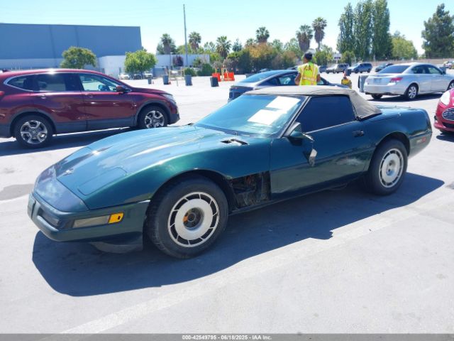 1992 CHEVROLET CORVETTE 1G1YY33P8N5109086 Photo 1