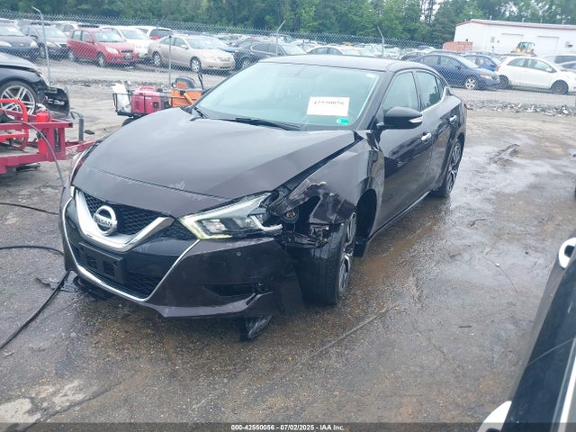Nissan Maxima 2016 1N4AA6AP7GC409207 Image 2