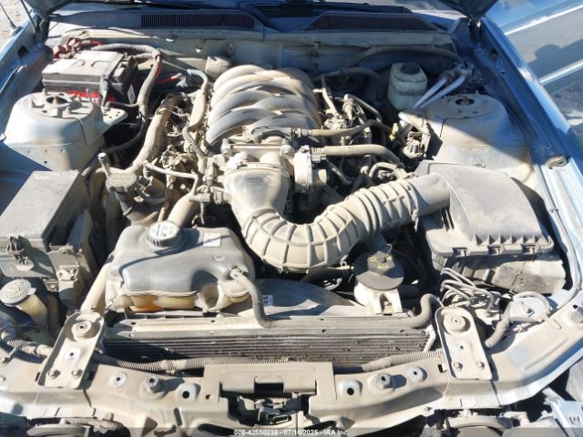 2006 FORD MUSTANG 1ZVHT82H865256343 Photo 9