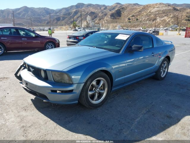 2006 FORD MUSTANG 1ZVHT82H865256343 Photo 1