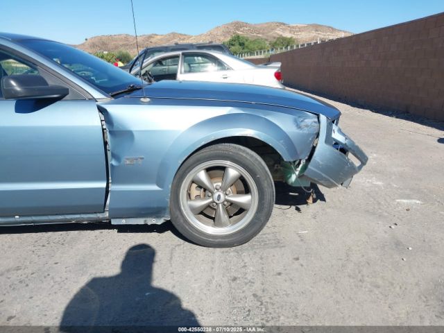 2006 FORD MUSTANG 1ZVHT82H865256343 Photo 5