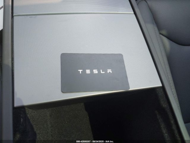 2024 TESLA MODEL 3 5YJ3E1EB6RF813646 Photo 10