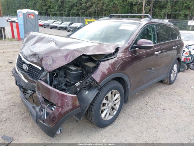 5XYPG4A5XGG081637 KIA dohc gdi lambda ii