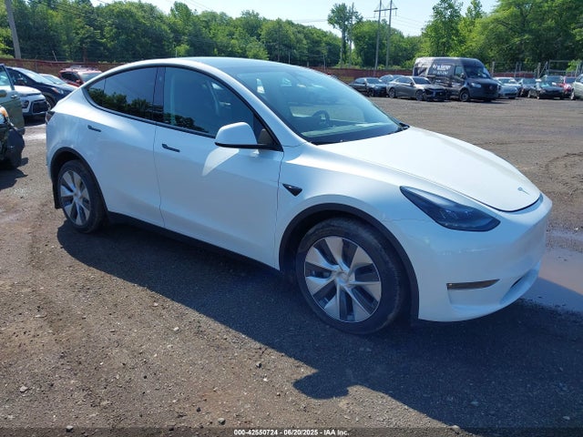 2023 TESLA MODEL Y 7SAYGDEE3PF703763 Photo 0