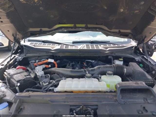 1FTFW3LD1RFA89340 Ford 2024