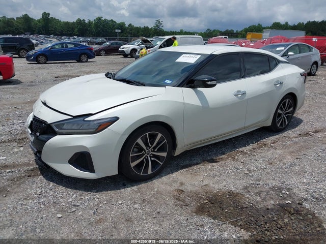 Nissan Maxima 2023 1N4AA6CV2PC509307 Image 2