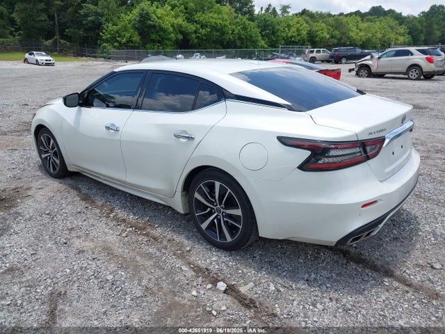 Nissan Maxima 2023 1N4AA6CV2PC509307 Image 3