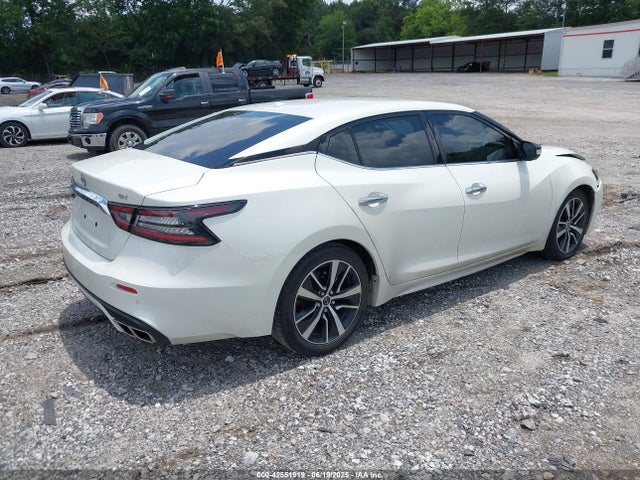 Nissan Maxima 2023 1N4AA6CV2PC509307 Image 4