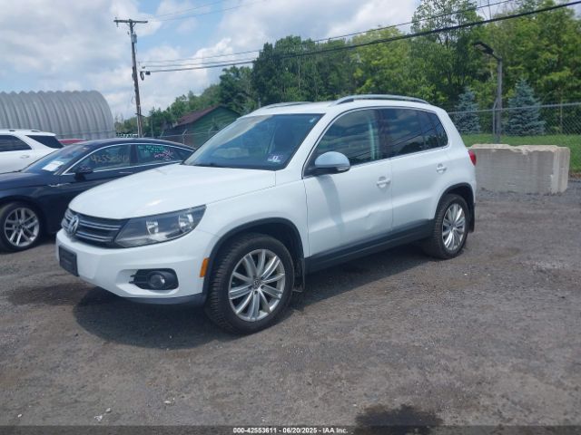 2014 VOLKSWAGEN TIGUAN WVGBV3AX6EW622268 Photo 1