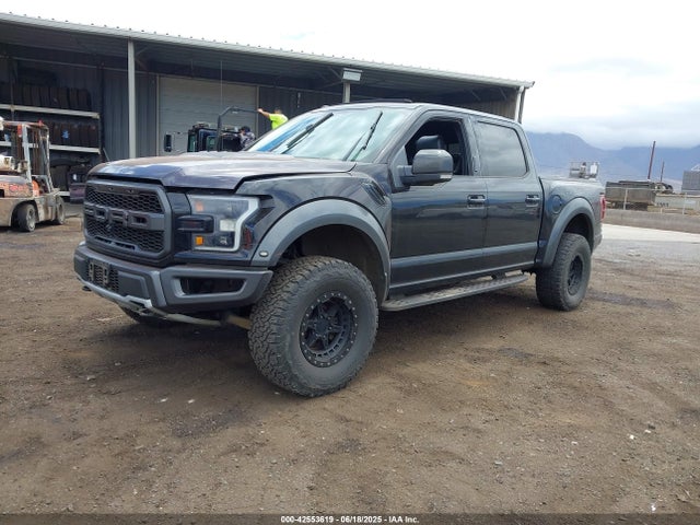 Aukcja sprzedaży 2017 Ford F-150 Raptor, vin: 1FTFW1RG6HFB33207, numer aukcji: 42553619