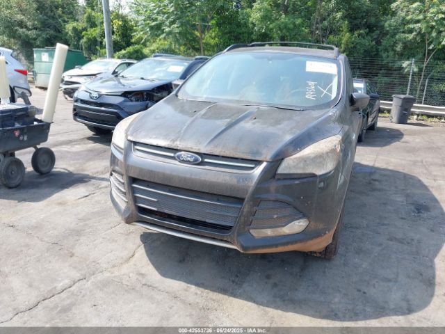 2013 FORD ESCAPE 1FMCU0GX9DUA45601 Photo 5