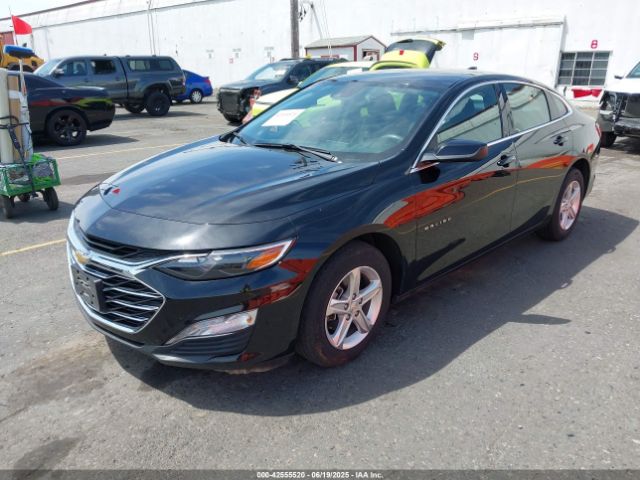 2023 CHEVROLET MALIBU 1G1ZD5ST1PF175440 Photo 1