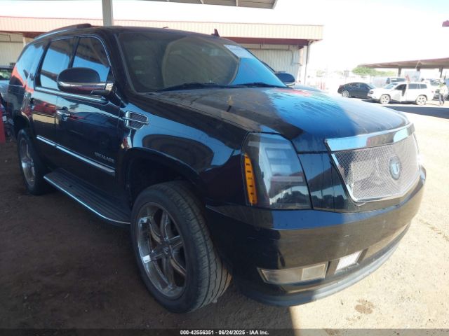 2010 CADILLAC ESCALADE 1GYUCBEF3AR122327