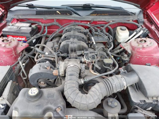 2005 FORD MUSTANG 1ZVFT80N955128031 Photo 9