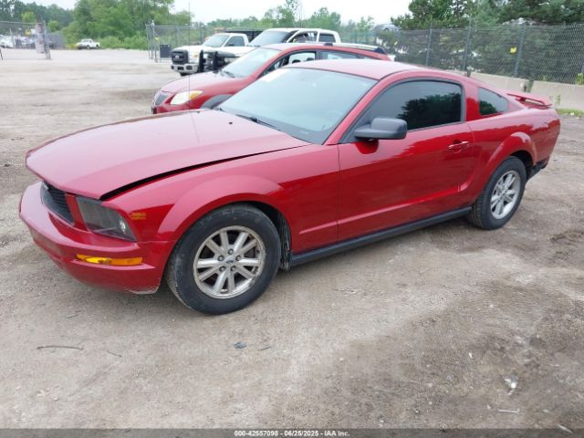 2005 FORD MUSTANG 1ZVFT80N955128031 Photo 1