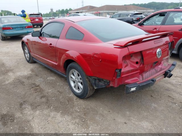 2005 FORD MUSTANG 1ZVFT80N955128031 Photo 2