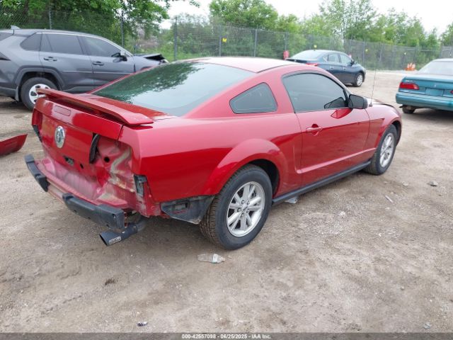 2005 FORD MUSTANG 1ZVFT80N955128031 Photo 3