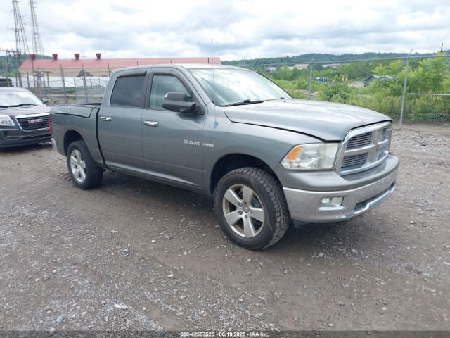 2009 DODGE RAM 1500 1D3HV13T69J527085