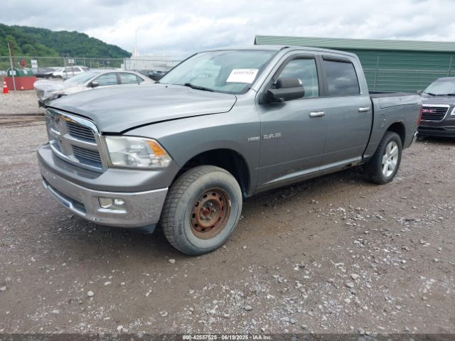 2009 DODGE RAM 1500 1D3HV13T69J527085 Photo 1