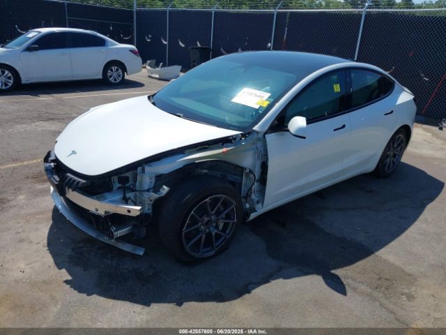 2021 TESLA MODEL 3 5YJ3E1EA8MF018338 Photo 1