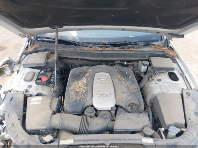 2011 HYUNDAI GENESIS KMHGC4DF1BU125723 Photo 9