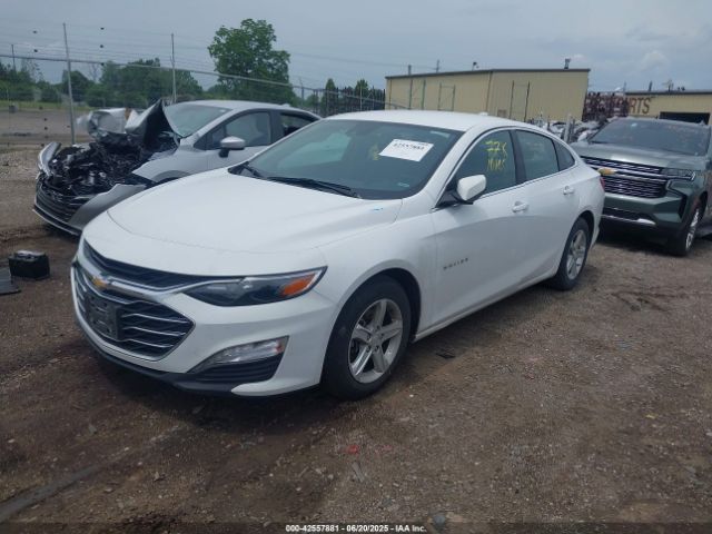 2023 CHEVROLET MALIBU 1G1ZD5ST1PF169475 Photo 1