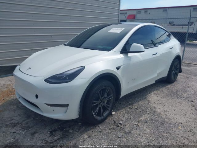 2024 TESLA MODEL Y 7SAYGAEE4RF169559 Photo 1