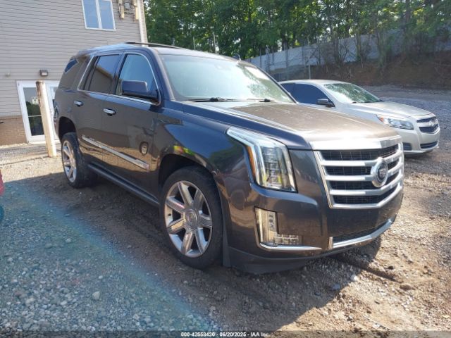 2015 CADILLAC ESCALADE 1GYS4CKJ2FR224440