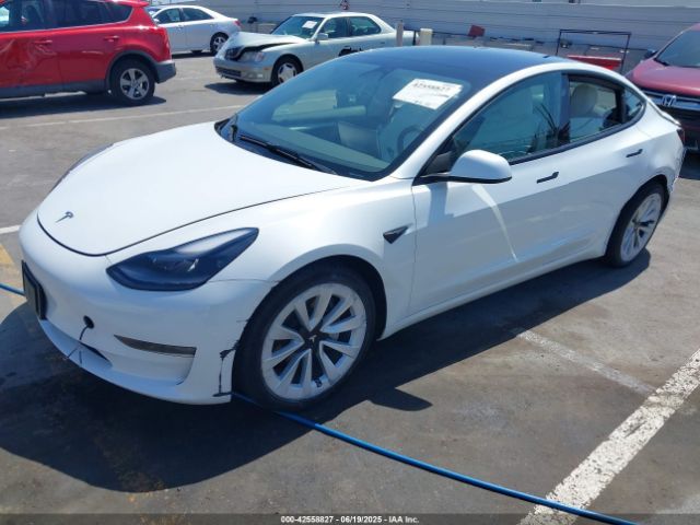 2023 TESLA MODEL 3 5YJ3E1EA3PF484277 Photo 1