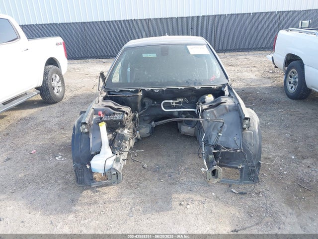 2C3CDXGJ8KH725972 Dodge 2019