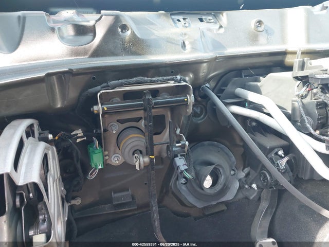 2C3CDXGJ8KH725972 Dodge 2019