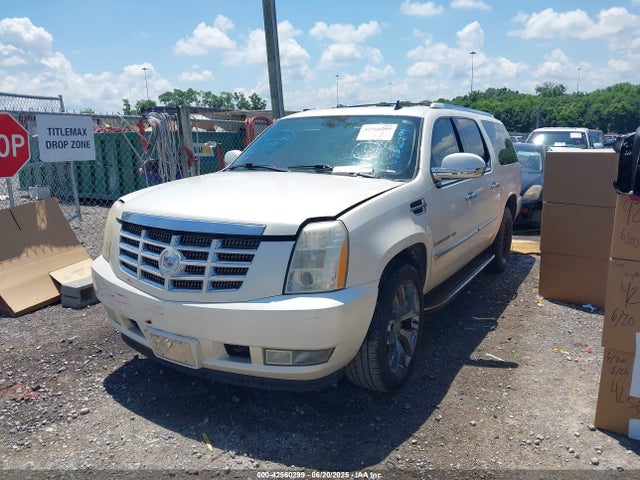 2009 Cadillac Escalade Esv Standard მანქანა იყიდება აუქციონზე, vin: 1GYFC16299R126098, აუქციონის ნომერი: 42560299