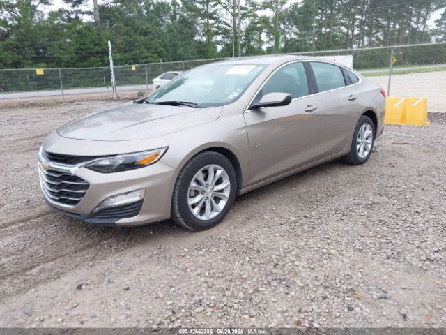 2025 CHEVROLET MALIBU 1G1ZD5ST4SF150931 Photo 1